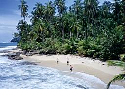 48 Gandoca-Manzanillo playa.jpg